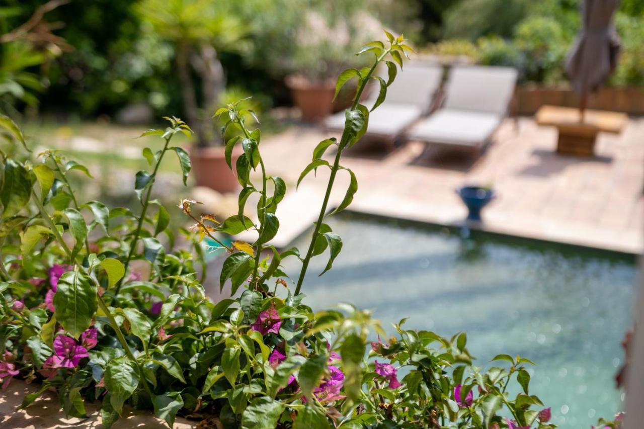 Le Mazet De Tourrettes Bed and Breakfast Buitenkant foto