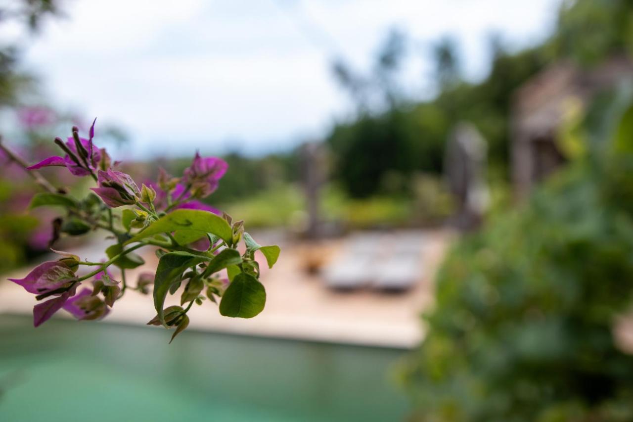 Le Mazet De Tourrettes Bed and Breakfast Buitenkant foto